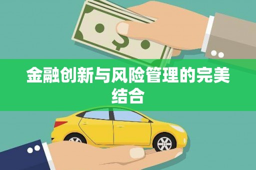 平舆金融创新与风险管理的完美结合