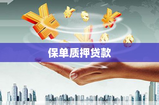 沈北新区保单质押贷款