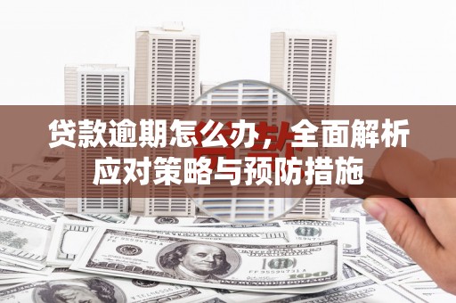 林西贷款逾期怎么办，全面解析应对策略与预防措施