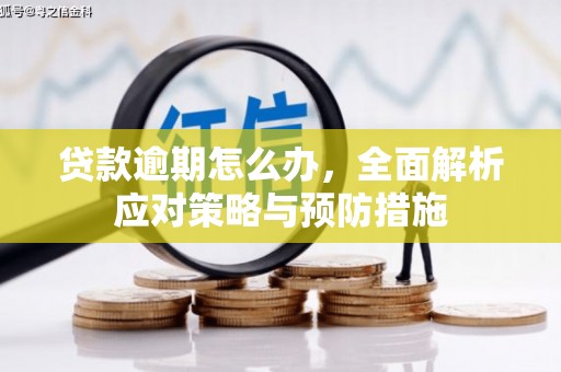 怒江贷款逾期怎么办，全面解析应对策略与预防措施