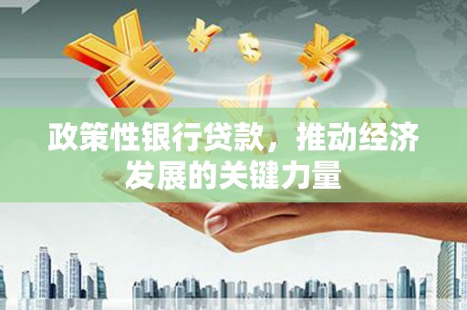 青龙政策性银行贷款，推动经济发展的关键力量