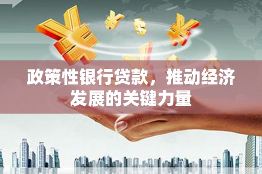 禹会政策性银行贷款，推动经济发展的关键力量