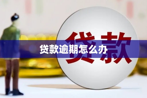 漠河贷款逾期怎么办