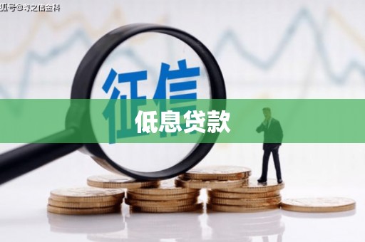 原阳低息贷款