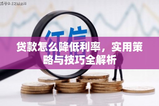 商南贷款怎么降低利率，实用策略与技巧全解析