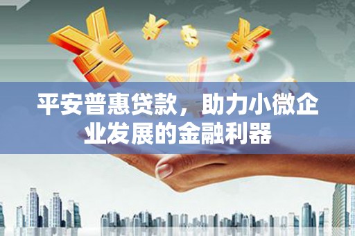 凤县平安普惠贷款，助力小微企业发展的金融利器