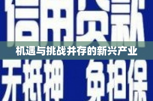 保税区机遇与挑战并存的新兴产业