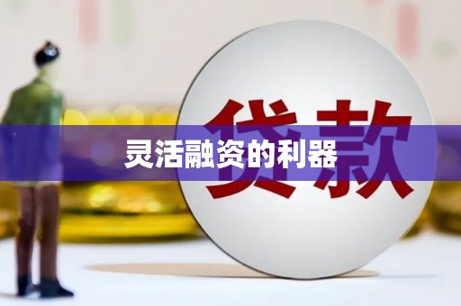揭东灵活融资的利器