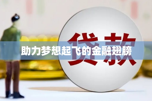 西海岸助力梦想起飞的金融翅膀