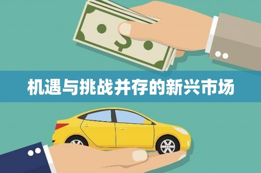 固镇机遇与挑战并存的新兴市场