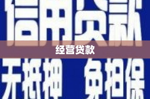 文登经营贷款