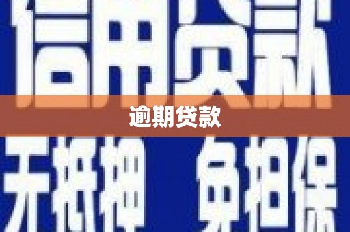 富县逾期贷款