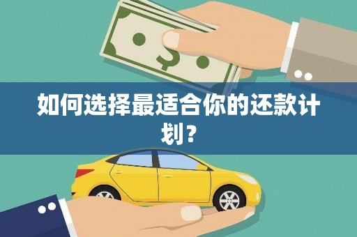 炉霍如何选择最适合你的还款计划？