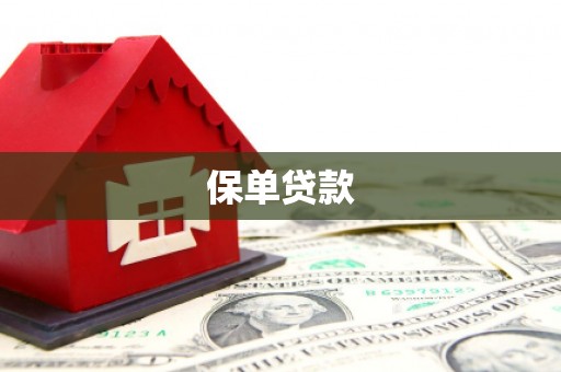 中方保单贷款 中方保单贷款